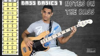 Bass Basics 1 The notes on the Bass [upl. by Mercorr]