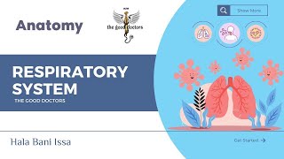 Development of respiratory system  Embryology RS [upl. by Meeka]