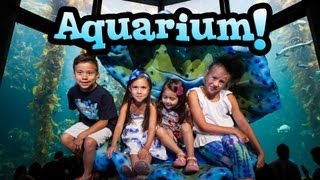 EvanTubeHD visits the MONTEREY BAY AQUARIUM amp WILD THINGS [upl. by Matti842]