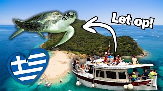 Opzoek naar Zeeschildpadden op Vakantie  Leuke Excursie of Dierenleed [upl. by Nnahgem643]