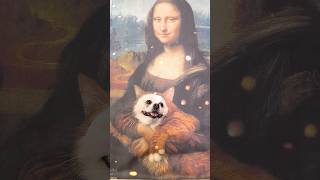 Monalisa hugs Niconico smartnico cute funny pets [upl. by Galen650]