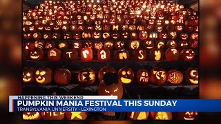 Pumpkinmania festival at Transy [upl. by Held]