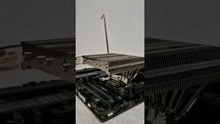 Noctua NHL12Sx77  CPU Cooler  Noctua [upl. by Henni]