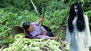 Single mother in danger in the forest Harvesting glutinous corn garden to sell Taking care of pets [upl. by Otreblide556]