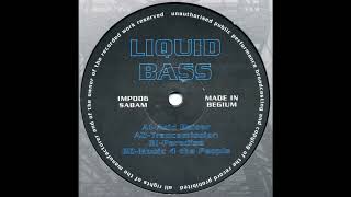 Liquid Bass  Trancemission Hard Trance 1993 [upl. by Anev]