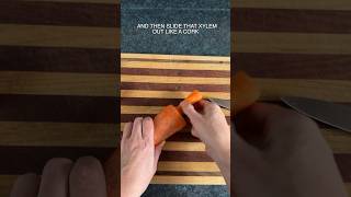 Carrot Disassembly Hack carrot [upl. by Wasson186]