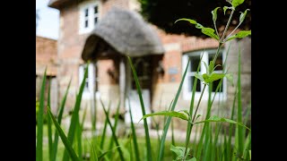 Yew Tree Cottage Potterne [upl. by Bigelow]