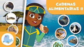 CADENAS ALIMENTARIAS para niños 🌱⬅🐝⬅🐦⬅🐺 Terrestres y acuáticas 🌼 Episodio 2 [upl. by Shurwood981]