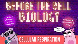 Cellular Respiration Before the Bell Biology [upl. by Klecka]