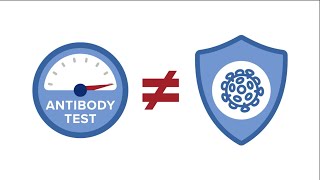 Serologic Testing What Are Antibodies [upl. by Sapowith]
