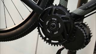 Stop motion Bafang BBSHD EVBIKE amp Lekkie bling ring 42T [upl. by Millian]