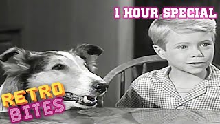 Lassie  1 Hour Compilation  Full Episodes  Kids Cartoon  Videos For Kids [upl. by Ardnuassac]