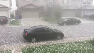 CRAZY GOLFBALL SIZED HAIL STORM IN CALGARY [upl. by Aleuname]