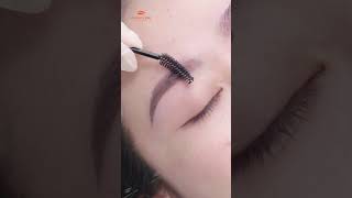 Lông mày phun shading mix tạo sợi Flybrows sẽ như thế nào Khám phá ngay [upl. by Coke179]