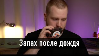 Парфюм с запахом после дождя [upl. by Ravaj]