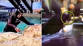 The Tragic Killer Whale Attack On Tamarie Tollison Actual Footage [upl. by Brindle]