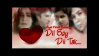 Dilse dil tak PTV home drama Official song SHAAKII [upl. by Arait]