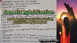 BScMSc Sometic hybridization Purification of protoplast fusion hybrid selection [upl. by Kawasaki405]