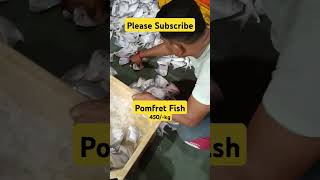 Pomfret fish packing for export pomfret fishing fish seafood fishingvideo fishinglife [upl. by Oriel]