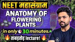 NEET महासंग्राम🔥 ANATOMY OF FLOWERING PLANTS  Neet 2024 [upl. by Nnov]