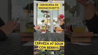 TRIPLE BERRY cerveza cervezaartesanal berry craftbeer cerveceria beer epigram drink fruits [upl. by Innaig]