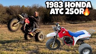 1983 Honda ATC 250R [upl. by Shaefer480]