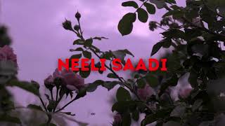 Neeli saadi  271024  Hindi Rap Song  MTV Hustle  Underground Artist [upl. by Mhoj]