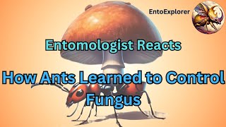 Entomologist Reacts  Moth Light Media  How Ants Learned to Control Fungus [upl. by Ayikur]