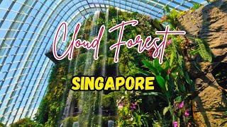 CLOUD FOREST Gardens By the Bay Singapore [upl. by Siramed]