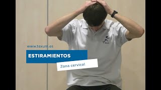 Estiramientos de la zona Cervicales Los esplenios [upl. by Whitebook]