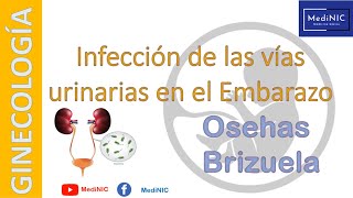 Infección de las Vias Urinarias en el Embarazo MediNIC [upl. by Thibaut]