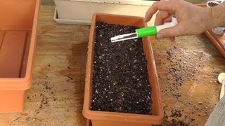 DIY Make A Hand Held Seed Sower for less than 1 [upl. by Nairbo]