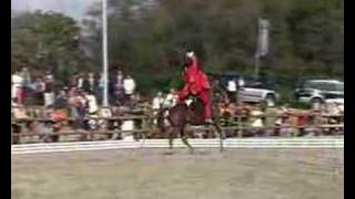 Spectacle Equestre Le cheval dans tous ses états [upl. by Philipines712]