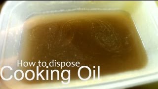 How to dispose cooking oil [upl. by Htebesile]