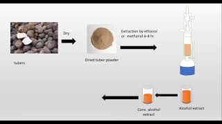 Isolation and identification Diosgenin from Dioscorea [upl. by Feucht]