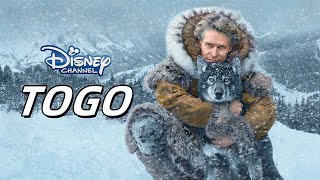 TOGO  Adventure Drama  Disney movies  TOGO 2019 [upl. by Ailecra568]