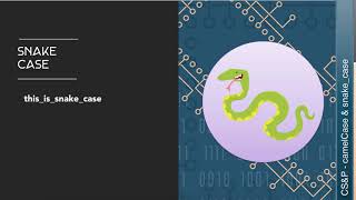 Learn CS Variables  camelCase vs snakecase [upl. by Lisetta]