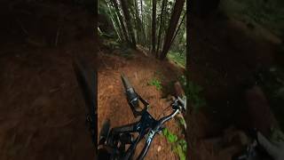 Rate the speed down that crazy trail mountainbiking california gopro [upl. by Winifred723]