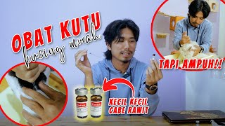 Obat kutu Kucing Murah Tapi Ampuh😱😱 [upl. by Cathee725]