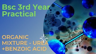 ORGANIC MIXTURE  UREA BENZOIC ACID BSc 3rd Year Chemistry Practical [upl. by Allmon]