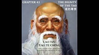 Tao Te Ching Chapter 41 The Dignity of the Tao 道的尊贵 [upl. by Hopper]