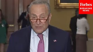 Its A Bridge CR Schumer Touts Senates Continuing Resolution To Avert Government Shutdown [upl. by Ovida]