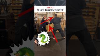 How To Do KEMPO Grappling in a FIGHT 💥 Kenpo Kempo Karate [upl. by Dessma]