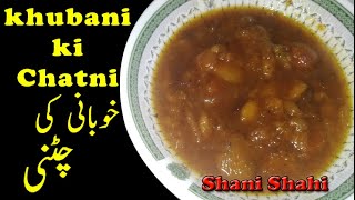 Khubani ki Chatni  Ready Within 2 Minutes [upl. by Adnawyt]