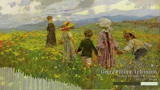 Georg Philipp Telemann  Viola Concerto TWV 51G9 Part IV Presto [upl. by Jilleen]