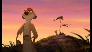 Timon encouraged  malayalam versionmp4 [upl. by Annaeirb]