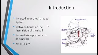 Pterygopalatine Fossa Contents  PTERYGOPALATINE GANGLION  Gross Anatomy  Ample Medical Lectures [upl. by Asit]