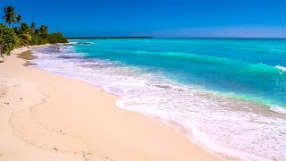 Waves on Saona Island  Relaxing Beach Sounds of the Caribbean Sea For Study Meditation and Sleep [upl. by Yren]