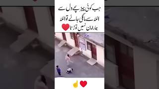 Sajde mein bahut hi takat hai shortsfeed respect youtube status allah [upl. by Roosnam]