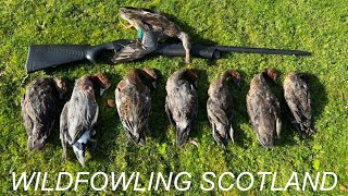 Wildfowling  Scottish Foreshore [upl. by Winna392]